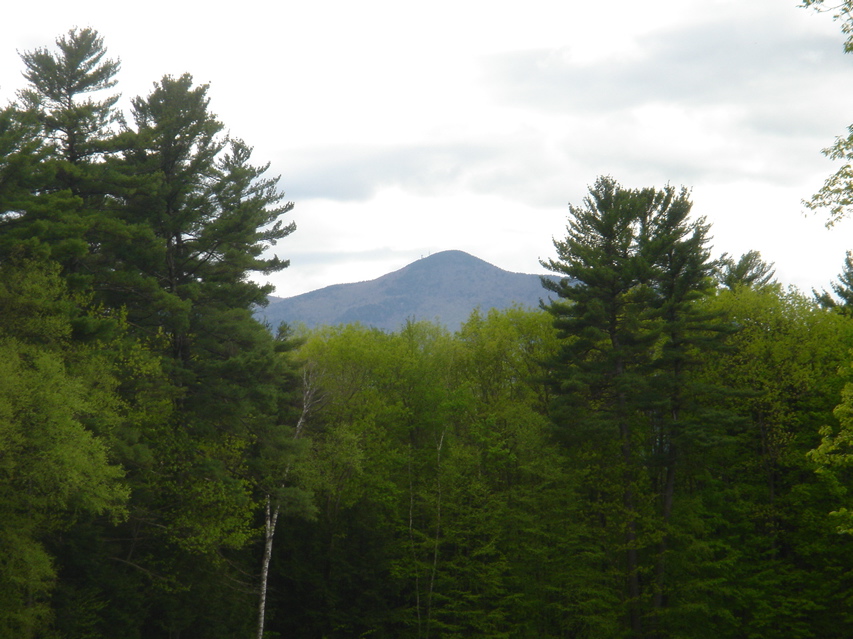 ©nicole peyrafitte  - 149