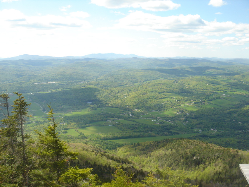 ©nicole peyrafitte  - 96